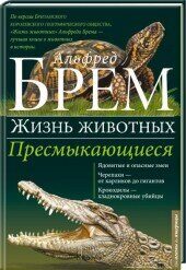 Пресмыкающиеся